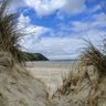 Adidan 的头像