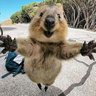 わくわくちゃん 的头像