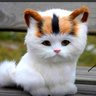 HiçBirŞeyiTakmayanAdam's profile picture