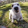 margaret bigham profil fotoğrafı