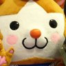 カトキチ🐏's profile picture