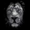 Ongbey's profile picture