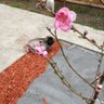 nclee 的头像