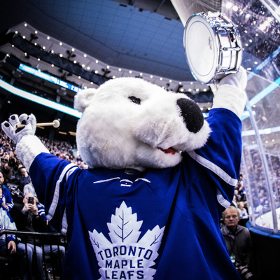 CarltonTheBear's profile picture