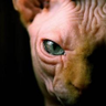 takkun169 profil fotoğrafı