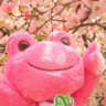 Profilbild von obarafan_523