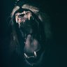 Dsxire's profile picture