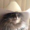 Trepidity's profile picture