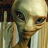 Shaul Bail's profile picture