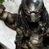Predator Roman's profile picture