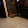 dendra profil fotoğrafı
