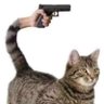 Peddit's profile picture