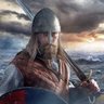 Viking 的头像