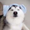 Profilbild von long yin