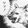 Profilbild von なきむしP