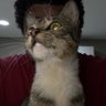 Profilbild von Leno