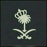 Profilbild von Waleed_ksa