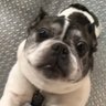 ジョージ・ジョージ's profile picture