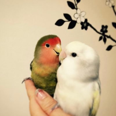 may_00_umi's profile picture