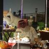 محمد.م. الحربي profil fotoğrafı