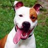 JDemiDawg profil fotoğrafı