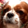 Profilbild von RealRealitySis