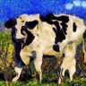Bullhornymous 🥥🏝️'s profile picture