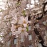 Фото профиля とね