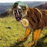 Profilbild von Cyber-toothed Tiger