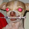 DANiel mARTin's profile picture