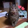 ゆ's profile picture