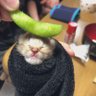 ななみつ's profile picture