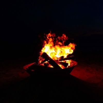 zqA9lT0kFngqNch's profile picture
