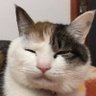 乐满园's profile picture