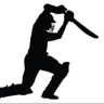 CRICKET IN & OUT 的头像