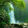 Фото профиля Chueboonmeekorn@gmail.com