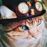 シャムロン🐱.com 的头像