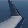 Butterfly's profile picture