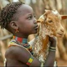 CIVIC EDUCATIONKE's profile picture