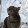 Евгений profil fotoğrafı