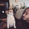Fernando's profile picture