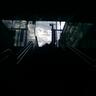 Whitecloud(白雲) profil fotoğrafı