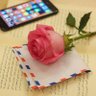 ﺯﻭﻝ حقاني profil fotoğrafı