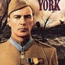 Profilbild von Alvin York
