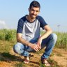 Yaron Nir's profile picture