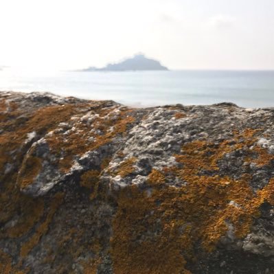 Cornish_Weather's profile picture