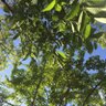 ゆうこりん profil fotoğrafı