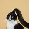 Stephania Dakoyannis profil fotoğrafı