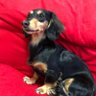 Profilbild von haruki