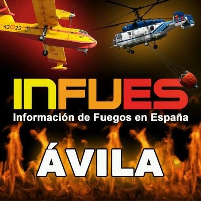 Infues Avila's profile picture